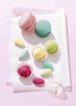 COMTESSE | LOOKBOOK COLOR