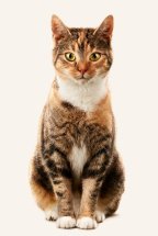 PENNY | REWE ZOOROYAL